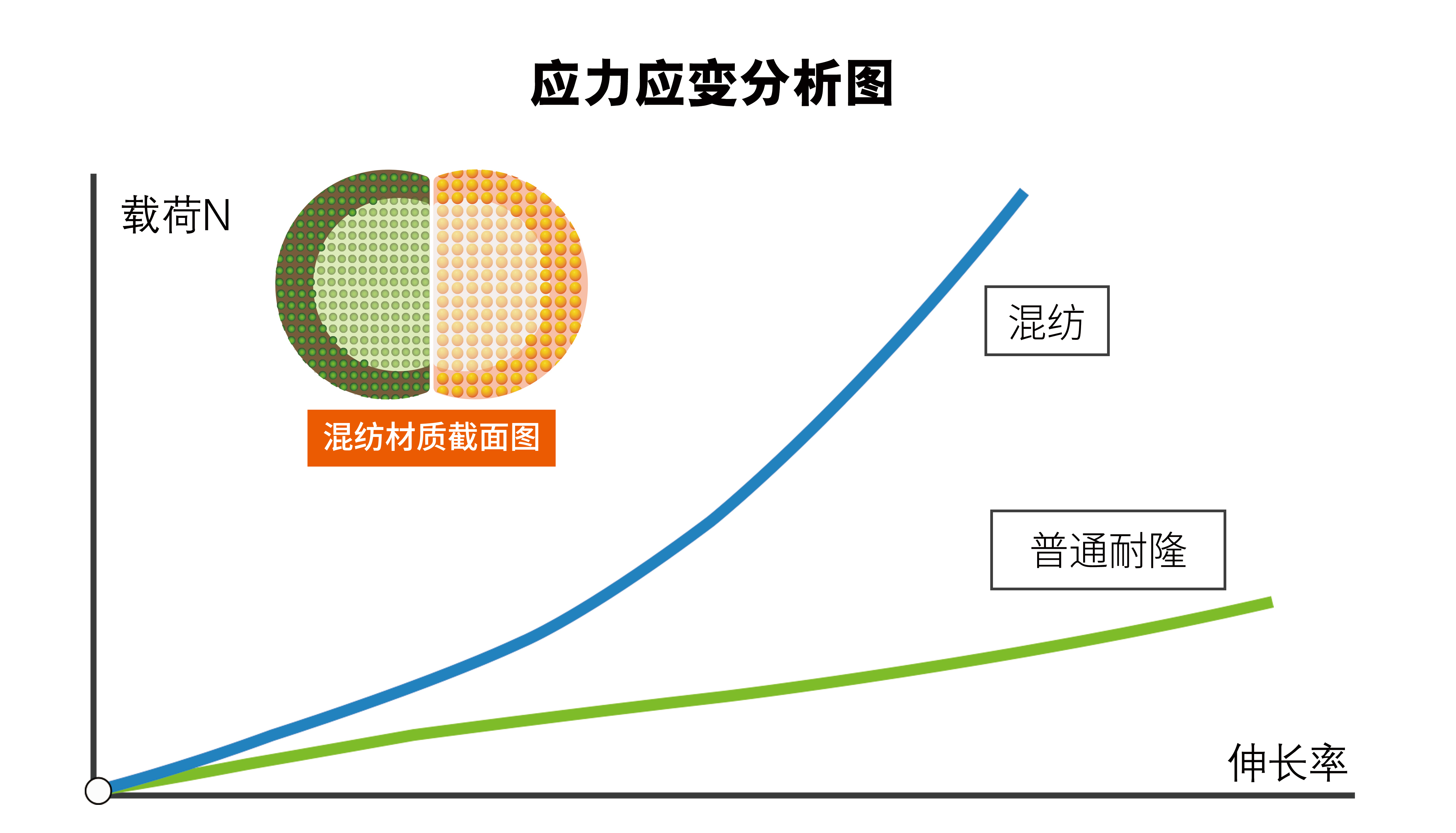 玛吉斯